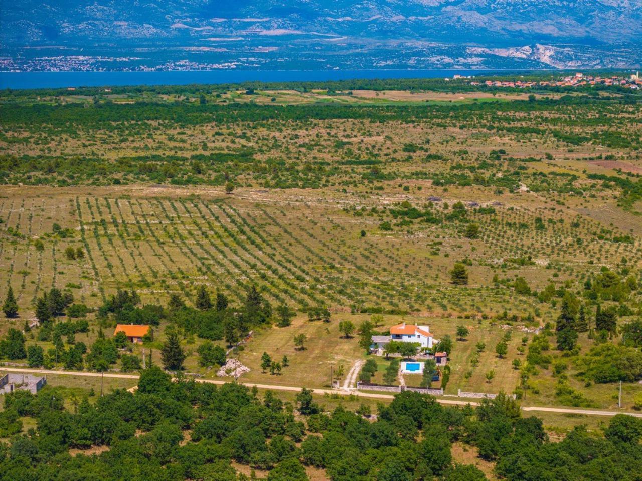 Villa Mandorla With Private Pool ซาดาร์ ภายนอก รูปภาพ